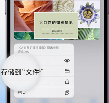 嘉峪关apple维修中心分享iPhone文件应用中存储和找到下载文件