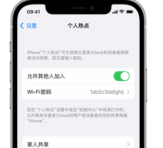 嘉峪关apple服务站点分享iPhone上个人热点丢失了怎么办 