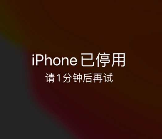 嘉峪关苹果手机维修分享:iPhone 显示“不可用”或“已停用”怎么办？还能保留数据吗？ 