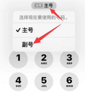 嘉峪关苹果14维修店分享iPhone 14 Pro Max使用副卡打电话的方法 