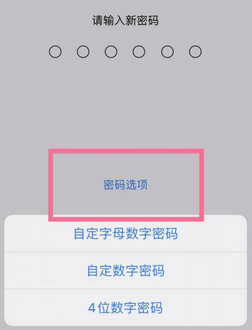 嘉峪关苹果14维修分享iPhone 14plus设置密码的方法 