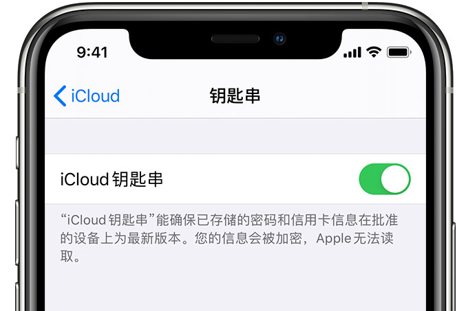 嘉峪关苹果手机维修分享在 iPhone 上开启 iCloud 钥匙串之后会储存哪些信息 