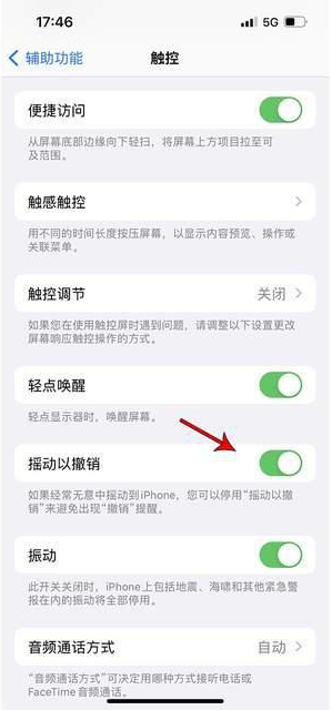 嘉峪关苹果手机维修分享iPhone手机如何设置摇一摇删除文字 