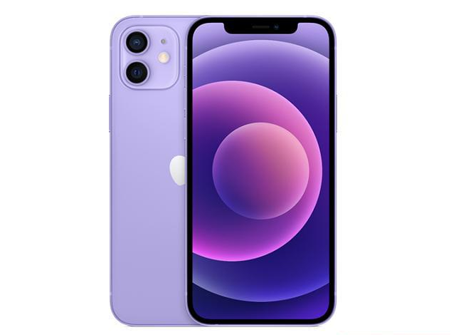 嘉峪关苹果手机维修分享现阶段要不要入手紫色版iPhone12 