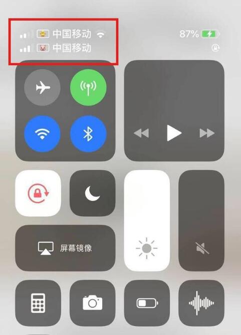 嘉峪关苹果手机维修分享为 iPhone 12 双卡设置标签 