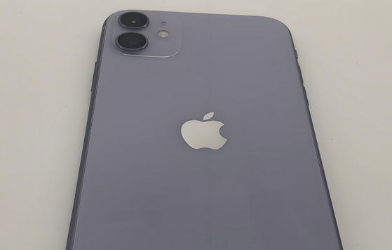 嘉峪关苹果11系统维修分享iPhone11手机系统崩溃无法开机如何解决